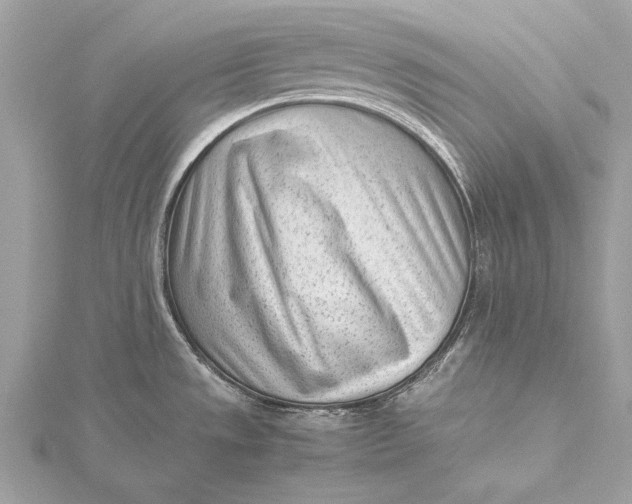 X0000115641533200912011451