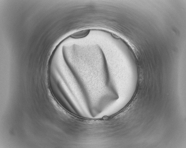 X0000115641534200912011451