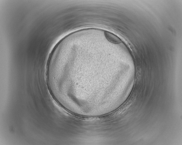 X0000115641535200912011451