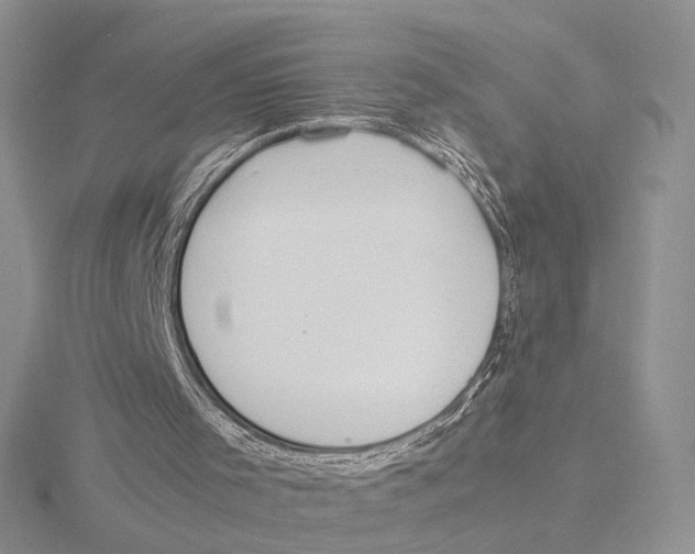 X0000115640001200912081114