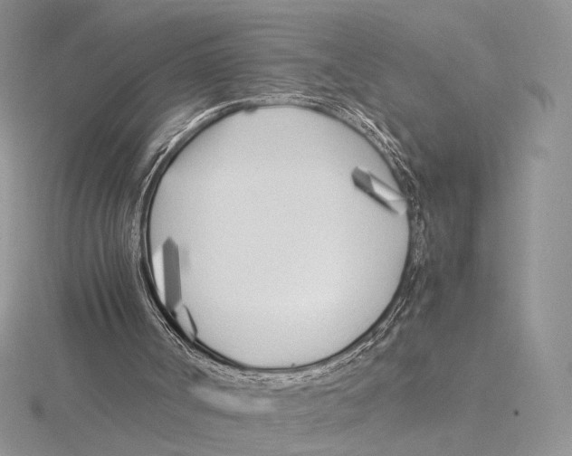 X0000115640002200912081114