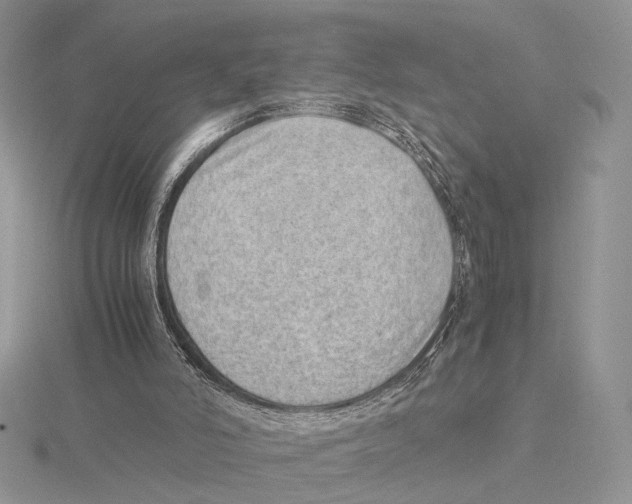 X0000115640006200912081114