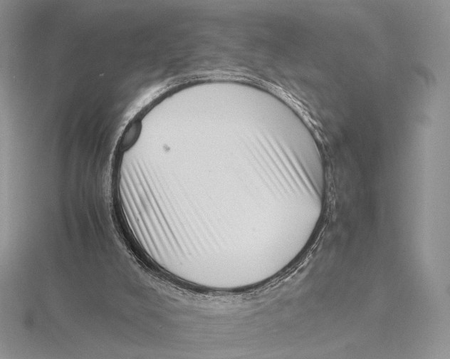 X0000115640008200912081114