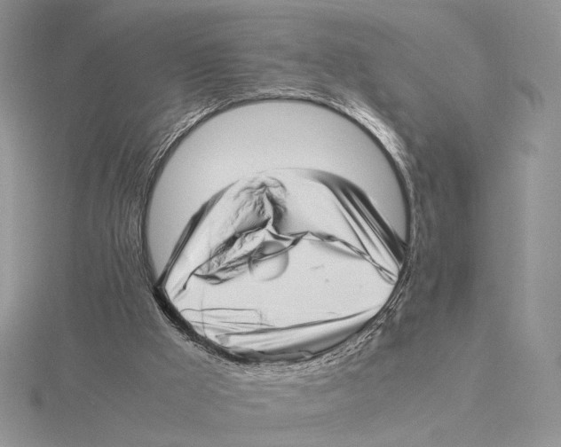 X0000115640009200912081114