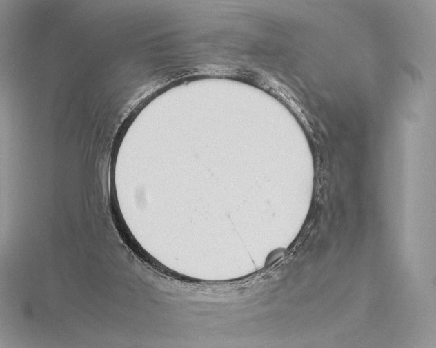 X0000115640011200912081114