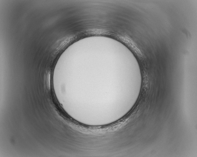 X0000115640014200912081114