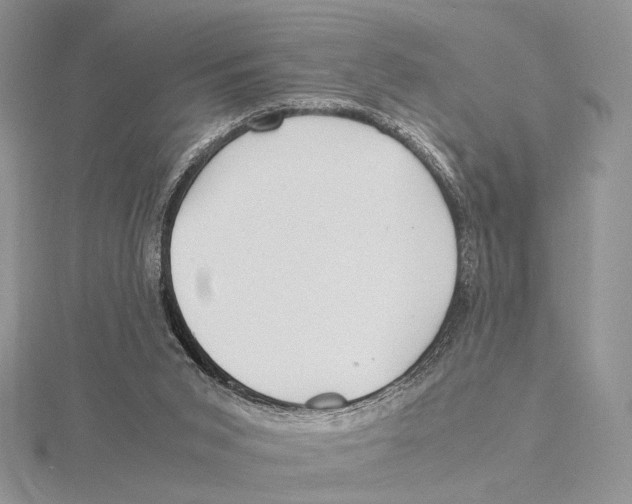 X0000115640015200912081114
