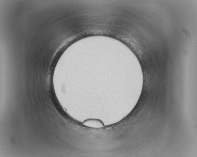 X0000115640016200912081114