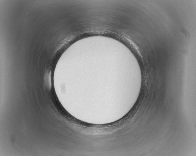 X0000115640020200912081114