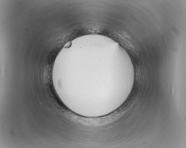 X0000115640030200912081113