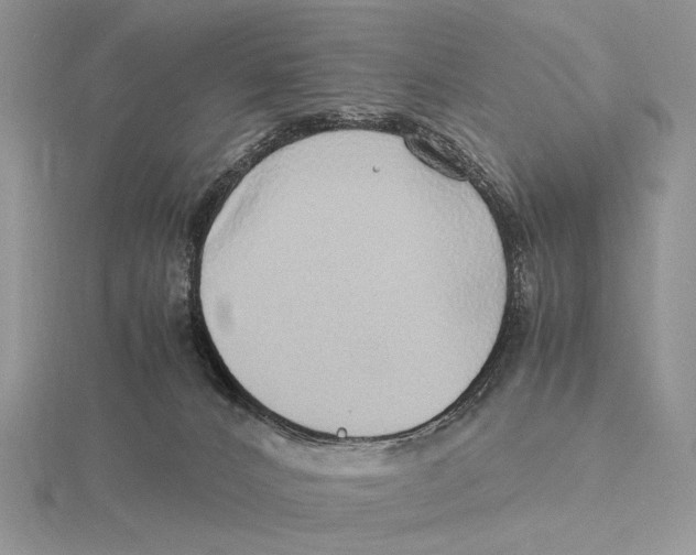 X0000115640032200912081113