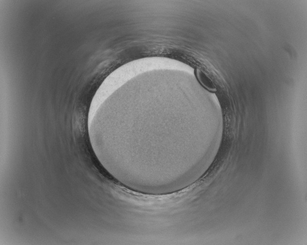 X0000115640035200912081113