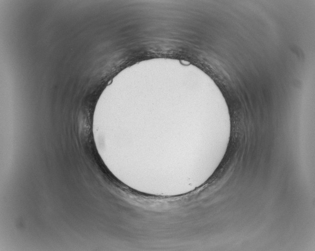 X0000115640040200912081113