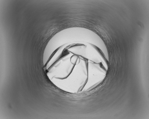 X0000115640041200912081113