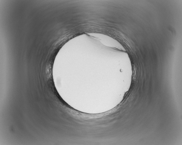 X0000115640043200912081113