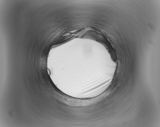 X0000115640048200912081113