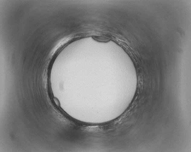 X0000115640054200912081113