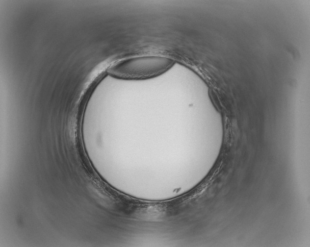 X0000115640056200912081113