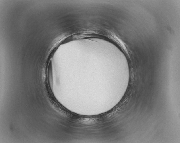 X0000115640059200912081113