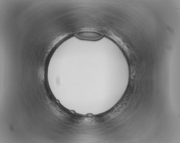X0000115640060200912081113