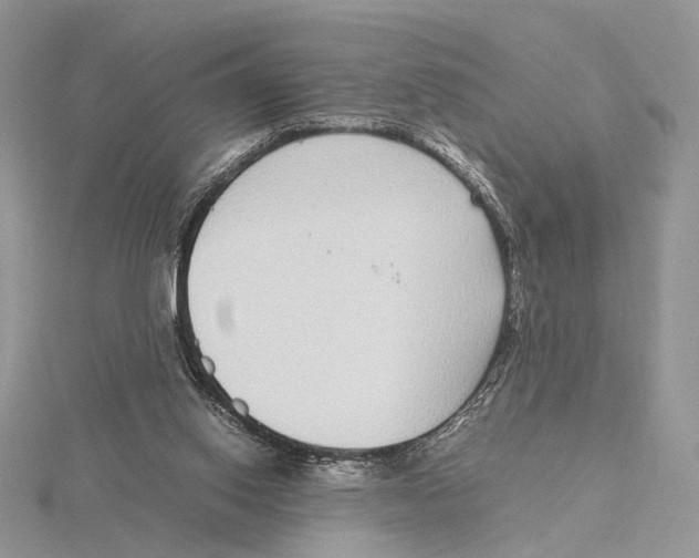 X0000115640062200912081113