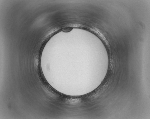 X0000115640063200912081113