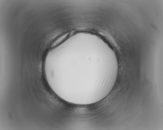X0000115640066200912081113