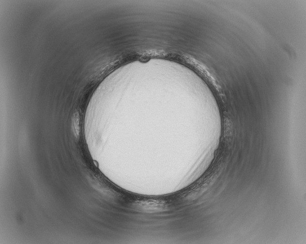 X0000115640069200912081113