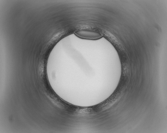 X0000115640072200912081113