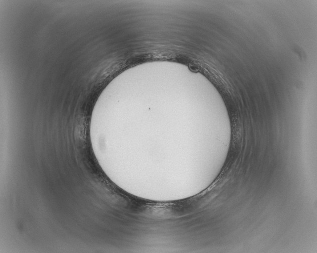 X0000115640078200912081113