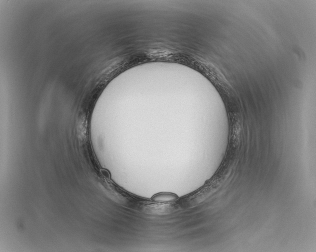X0000115640081200912081113