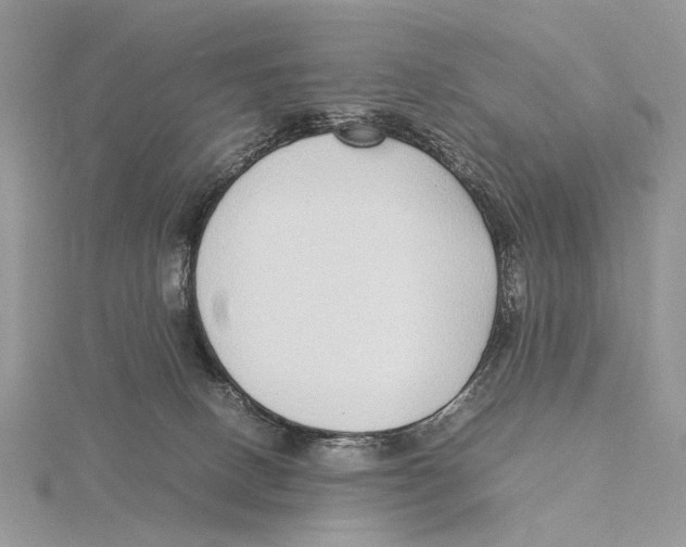 X0000115640082200912081113