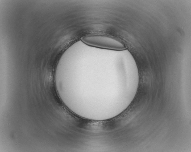 X0000115640084200912081113
