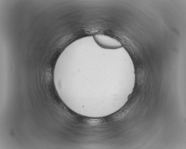 X0000115640085200912081113