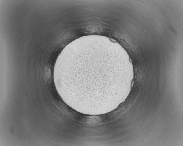 X0000115640087200912081113