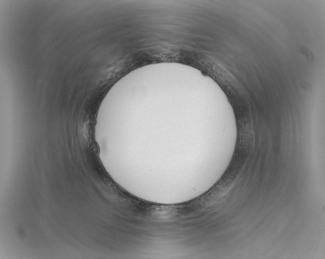 X0000115640088200912081113