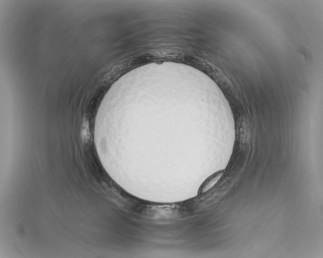 X0000115640089200912081113