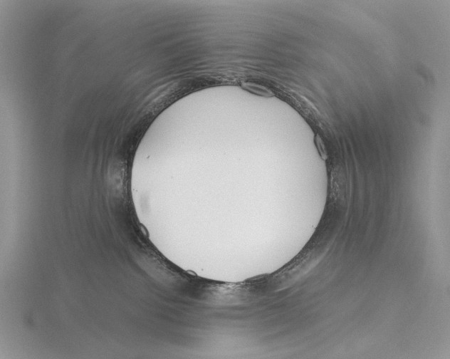 X0000115640092200912081113