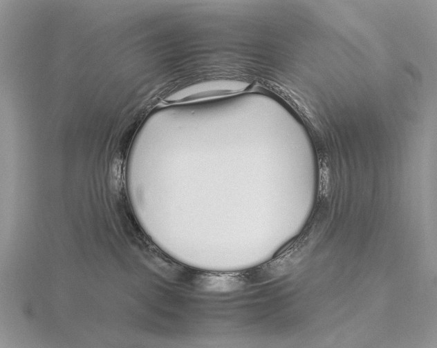 X0000115640093200912081113