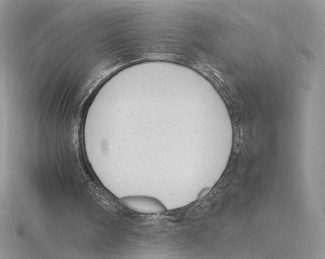 X0000115640098200912081113