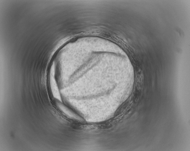 X0000115640100200912081112