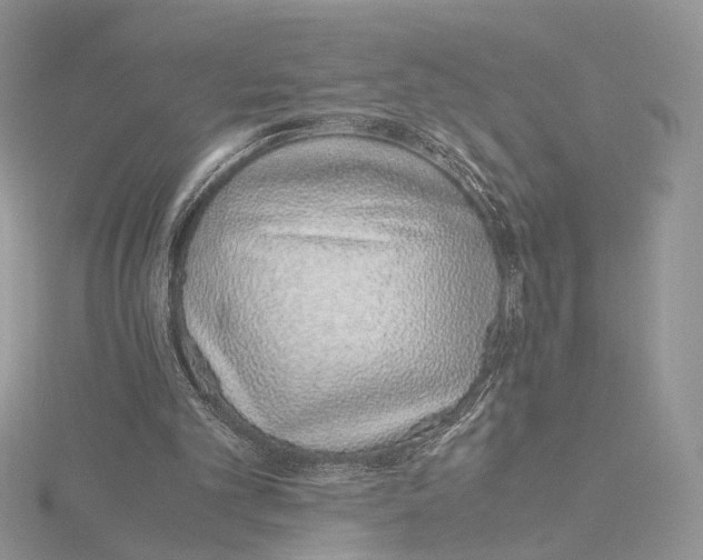 X0000115640101200912081112