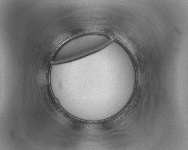 X0000115640105200912081112