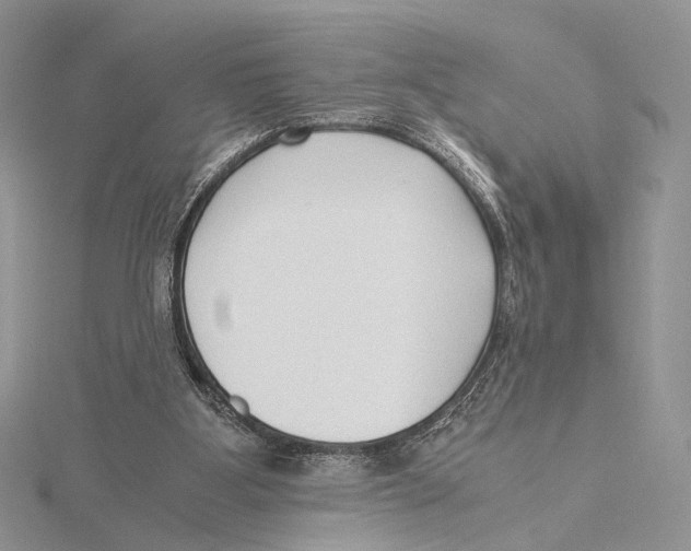 X0000115640107200912081112