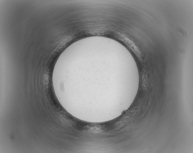 X0000115640113200912081112