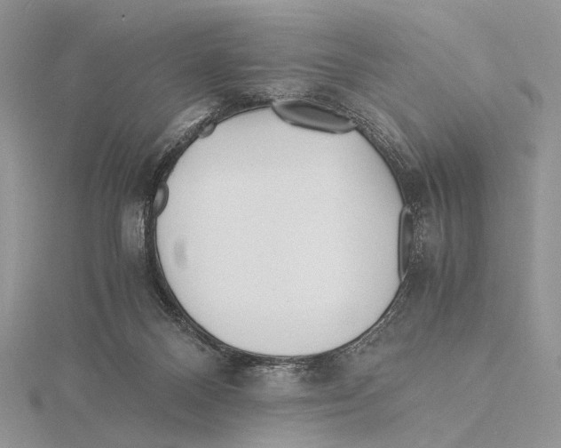 X0000115640120200912081112