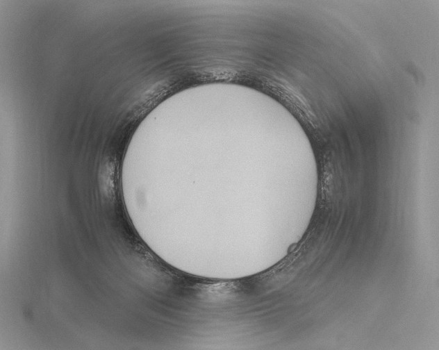 X0000115640122200912081112