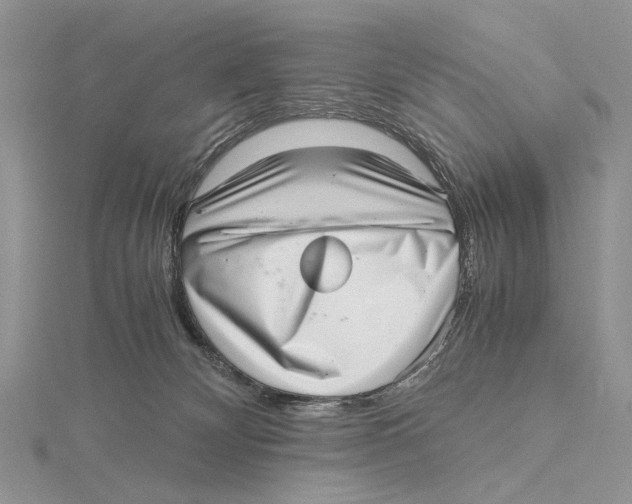 X0000115640132200912081112