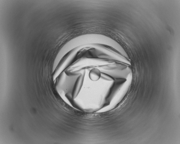 X0000115640136200912081112