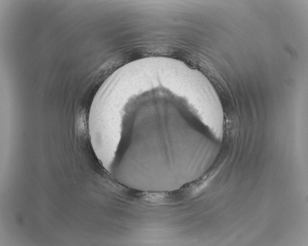 X0000115640143200912081112